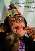 Image result for Funny Happy Birthday Cards for Facebook