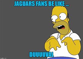 Image result for NFL Memes Jaguars