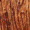 Image result for Burgandy Wood Panel Texture