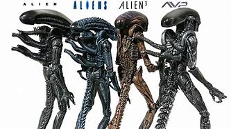 Image result for Alien Xenomorph Evolution