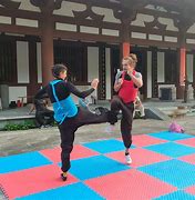 Image result for Wing Chun Kung Fu