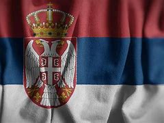 Image result for Kosovo is Serbia Flag