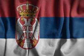 Image result for Serbian Flag Eagle