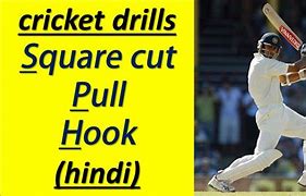 Image result for Cut and Pull in Cricket
