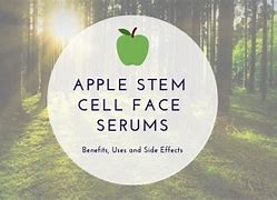 Image result for Ardour Apple Stem Cell