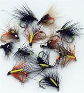 Image result for Fly Fishing Lures