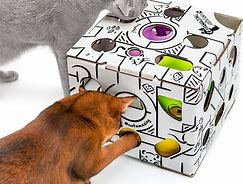 Image result for Best Cat Toys