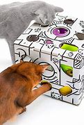 Image result for interactive cat toy