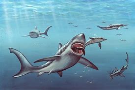 Image result for Giant Shark Megalodon