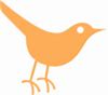Image result for Twitter Bird Icon
