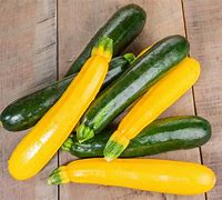 Image result for Chinese Light Green Bell Shaped Squash