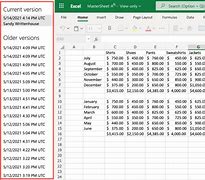 Image result for Excel Previous Versions