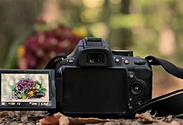 Image result for DSLR Flip Mirror