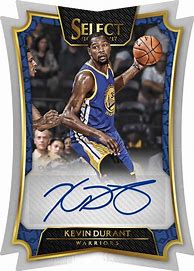Image result for NBA Select Tiger Card