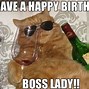 Image result for Birthday Memes with Cats