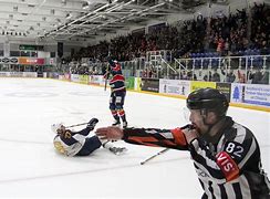 Image result for Dundee Stars Arena