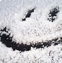 Image result for Funny Snow Pictures Falling