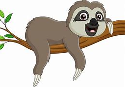 Image result for Baby Sloth Wallpaper