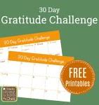 Image result for Simple 30-Day Gratitude Challenge