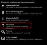 Image result for Flash Drive with Security Password