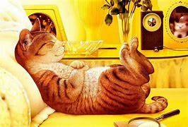 Image result for Cute Animals Chillin