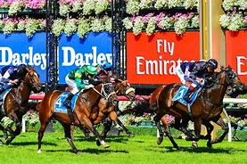 Image result for Melbourne Cup People