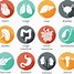 Image result for Human Icon SVG