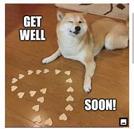 Image result for Get Well Dog Meme