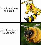 Image result for Cat Bees Meme