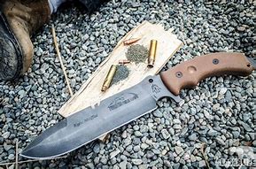 Image result for Survival Bushcraft Knife