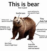 Image result for Bear On a Sphere Meme