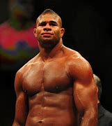 Image result for Famous UFC Fighters