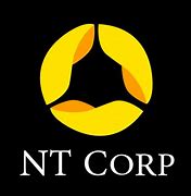 Image result for NT Global Logo