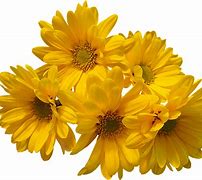 Image result for S with Flowers