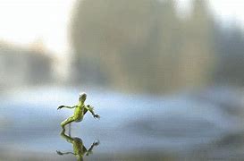 Image result for L Running Frog Meme