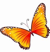 Image result for Butterfly Flower Clip Art Black and White