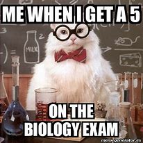 Image result for Biology Exam Memes