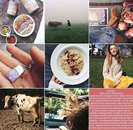 Image result for Vegan Life Instagram