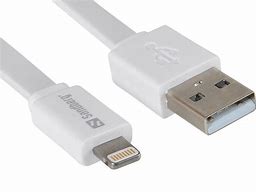 Image result for Small USB to Lightning Cable
