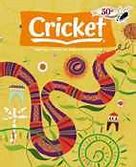 Image result for Cricket Magazine Cover