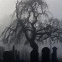 Image result for Graveyard Backdrop