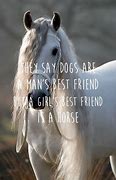 Image result for Friend Horse Quotes