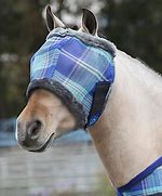 Image result for Mini Horse Fly Mask