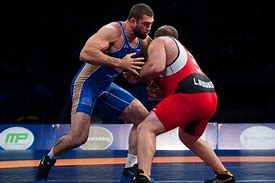 Image result for USA Olympic Wrestlers