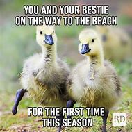Image result for Cute Summer Memes