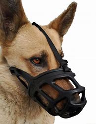Image result for Pet Muzzles Dog