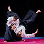 Image result for Real Aikido