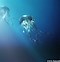 Image result for 1080P Underwater Wallpaper