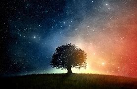 Image result for Galaxy Tree Art