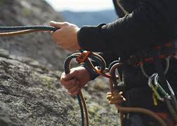Image result for Belay Device